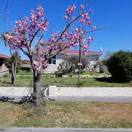 Homestay Double Room, Near The City Center Christchurch Exterior photo