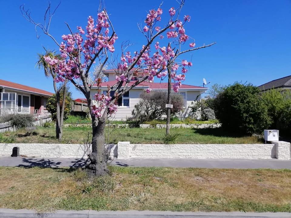 Homestay Double Room, Near The City Center Christchurch Exterior photo